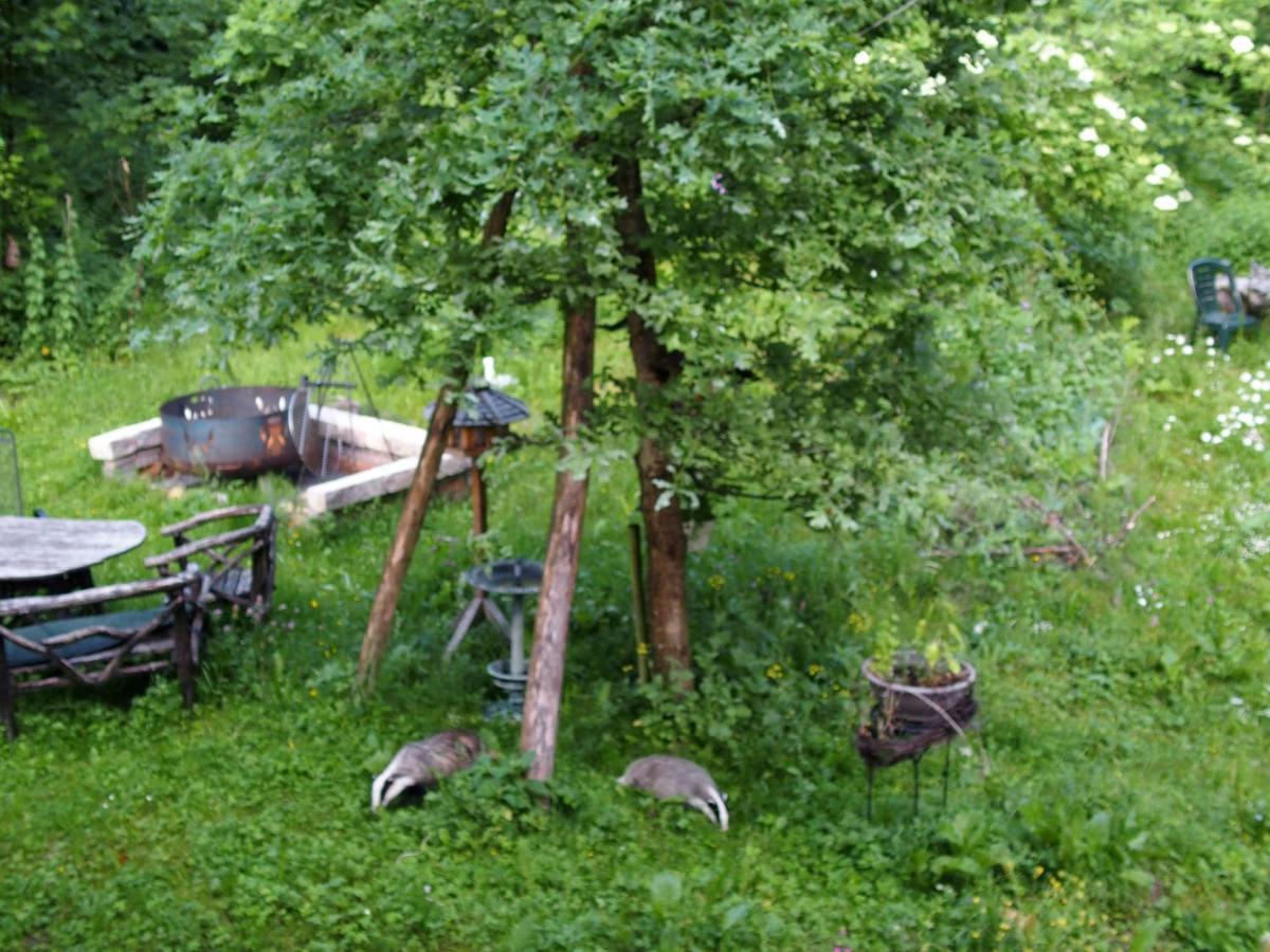 Schwedenhaus Eichenberg Daire Dış mekan fotoğraf